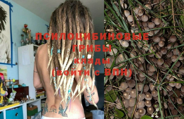 spice Кинешма