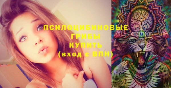 spice Кинешма