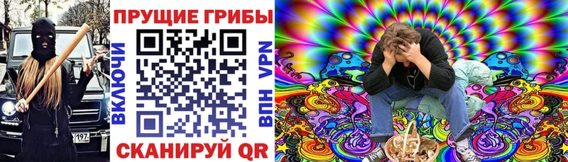 Псилоцибиновые грибы Psilocybe  Купить где  Володарск 